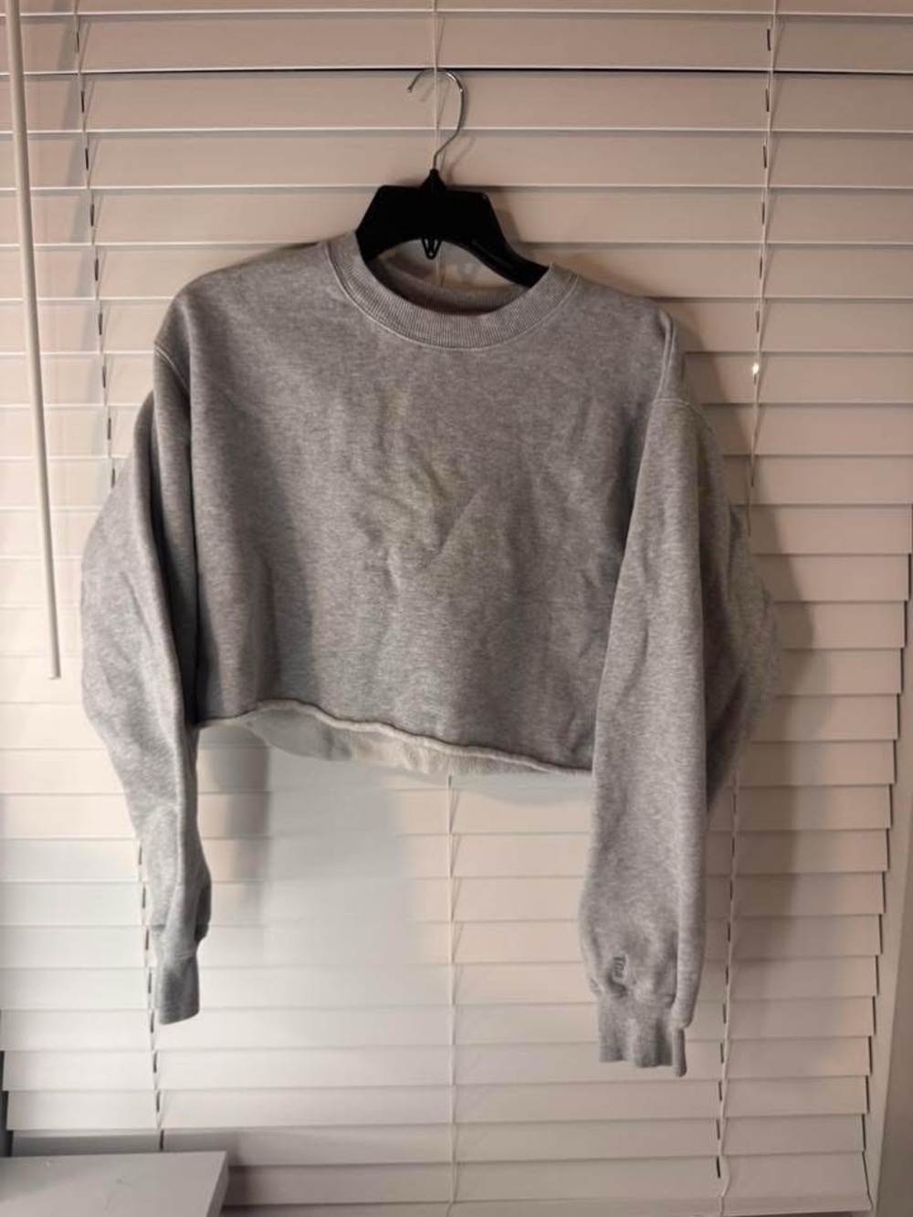 Aritzia Cropped Crewneck Sweatshirt in Light Gray